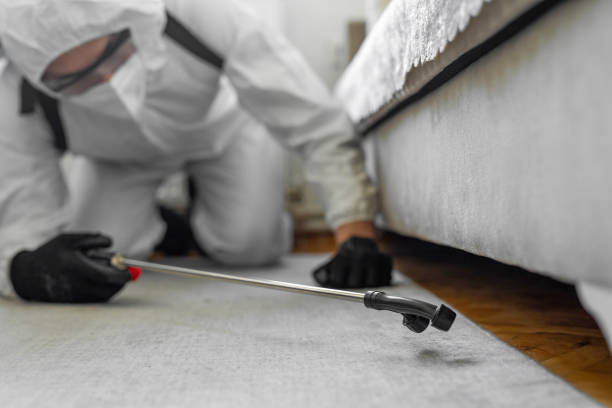Professional Termite Control technician working in West Point, GA