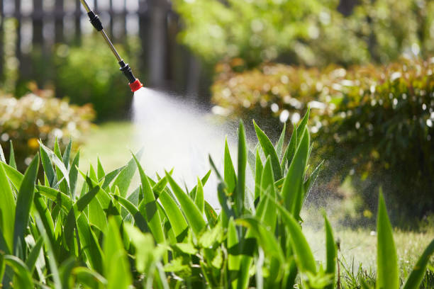 24/7 Emergency Termite Control experts in West Point, GA
