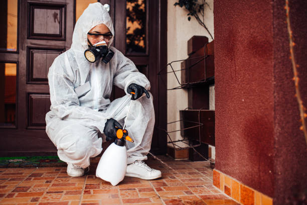 Reliable Termite Control contractor in West Point, GA by Nex Pest Control