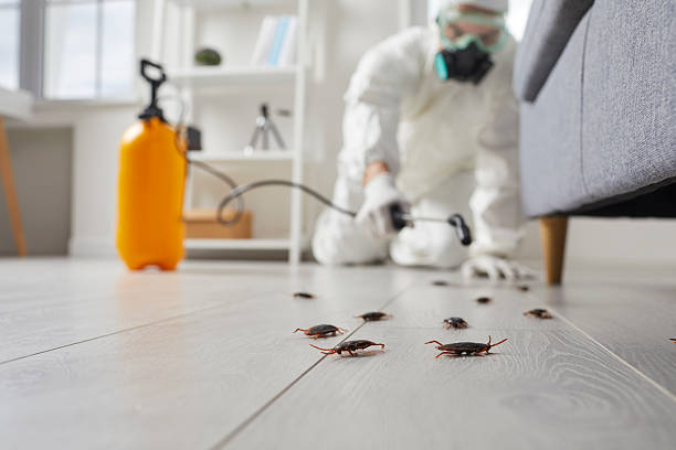 Affordable Termite Control solutions in West Point, GA